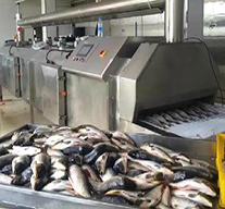 液氮速凍機—應用于水產市場